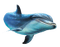 Kaz_Creations Dolphins Dolphin