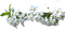 flower White Teeh .•´✿• - gratis png geanimeerde GIF