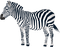 zebra - PNG gratuit GIF animé