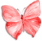 soave deco butterfly scrap pink - png gratis GIF animasi