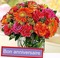Bon anniversaire fleurs bouquet bonne journée - png grátis Gif Animado