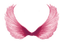 Pink wings - kostenlos png Animiertes GIF