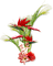 soave deco summer tropical flowers   red green