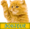 bonjour - Bezmaksas animēts GIF animēts GIF