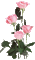 rosas - Безплатен анимиран GIF анимиран GIF