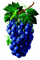 Y.A.M._Summer grapes decor - 免费PNG 动画 GIF