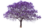 Arbre.Tree.Spring.Violet.Victoriabea - kostenlos png Animiertes GIF