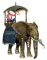 Elefant - безплатен png анимиран GIF