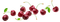Cherries - nemokama png animuotas GIF