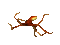 calamar stampkinotokino - Bezmaksas animēts GIF animēts GIF