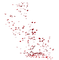 petals anastasia - Free PNG Animated GIF