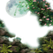 moon lune night nuit mond fond background landscape paysage garden jardin spring tube