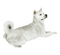 Atika Inu Hatchi de Dogzer - bezmaksas png animēts GIF