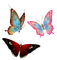 Papillon - zadarmo png animovaný GIF