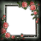 frame cadre flowers - png ฟรี GIF แบบเคลื่อนไหว