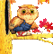 Kaz_Creations Cute Owl - GIF animado gratis GIF animado