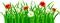 Y.A.M._Summer Flowers Decor - ücretsiz png animasyonlu GIF