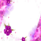 Y.A.M._Summer frame purple - gratis png animerad GIF