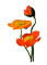 Fleurs.orange.Flowers.Victoriabea - PNG gratuit GIF animé