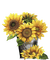 sunflowers - PNG gratuit GIF animé