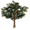 tree - PNG gratuit GIF animé
