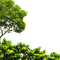 loly33 frame arbre - безплатен png анимиран GIF