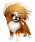 chien - Free PNG Animated GIF