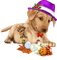Kaz_Creations Christmas Dog Pup Dogs Colours - zdarma png animovaný GIF