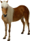 Kaz_Creations Horse - gratis png animerad GIF