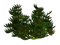 arbre - Free PNG Animated GIF