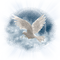 Birds bp - bezmaksas png animēts GIF