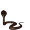 Kaz_Creations Snakes Snake - bezmaksas png animēts GIF