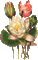 chantalmi fleur rose - Δωρεάν κινούμενο GIF κινούμενο GIF