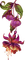 purple  flower by nataliplus - darmowe png animowany gif