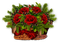 blommor-flowers - gratis png geanimeerde GIF