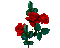 Fleurs.Flowers.Red.roses.Victoriabea - Kostenlose animierte GIFs Animiertes GIF