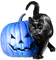 soave halloween deco animals pumpkin cat - ingyenes png animált GIF