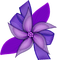 Kaz_Creations Deco Flower Ribbons Bows Colours - png grátis Gif Animado