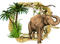 слон - Ücretsiz animasyonlu GIF