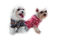 patymirabelle chien - PNG gratuit GIF animé