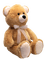 bear - nemokama png animuotas GIF