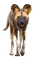 Hyena - ilmainen png animoitu GIF