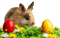 Pâques.Easter.Pascua.Bunny.Victoriabea - Ücretsiz animasyonlu GIF animasyonlu GIF
