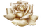 gold rose - Free PNG Animated GIF