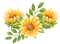 sonnenblume milla1959 - Free PNG Animated GIF