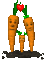 carrots - Darmowy animowany GIF animowany gif