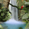 jungle waterfall water see lac lake island ile spring printemps fond background summer ete image paysage landscape gif anime animation animated - GIF animado gratis GIF animado