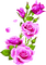 Rose Flower Painting - gratis png geanimeerde GIF
