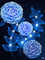MMarcia gif flores fleurs  blue - Бесплатный анимированный гифка анимированный гифка