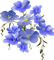 blommor-blå--flowers--blue - PNG gratuit GIF animé